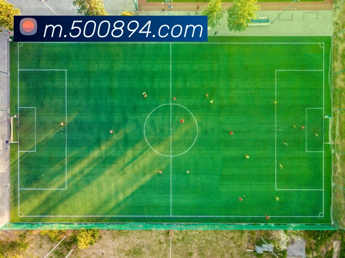 500彩票网官方APP 封面图